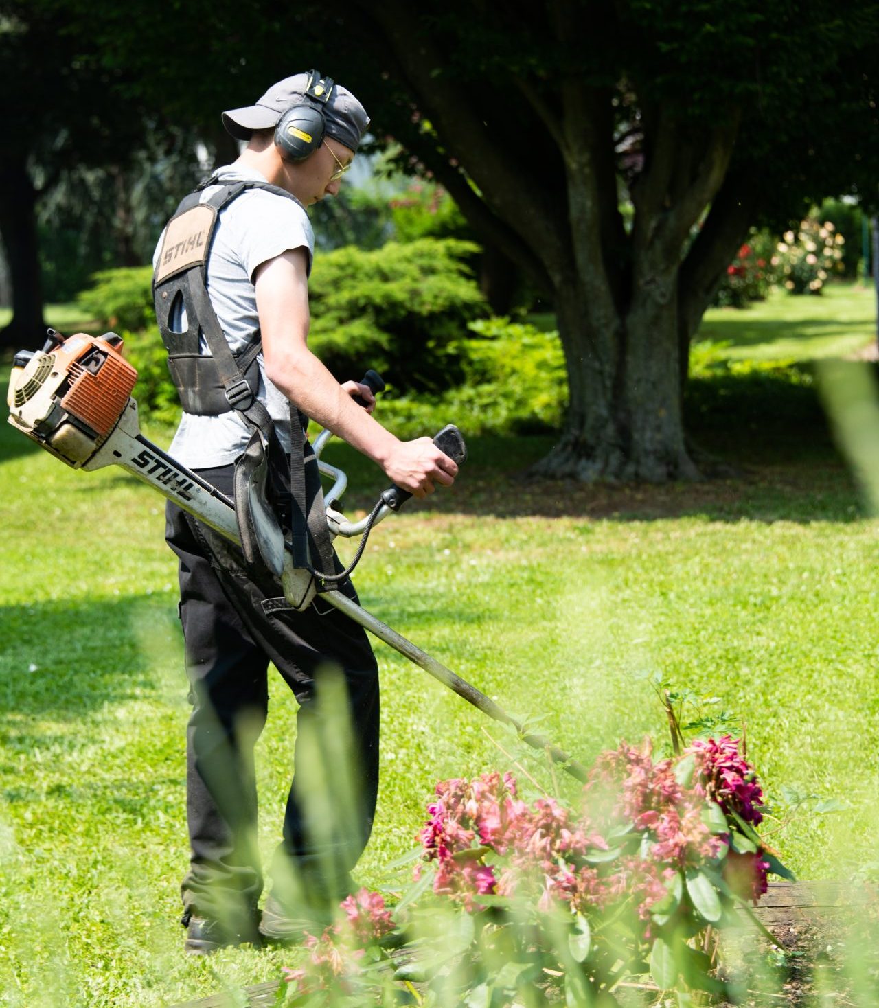 équipe LNP Paysage entretien de jardin