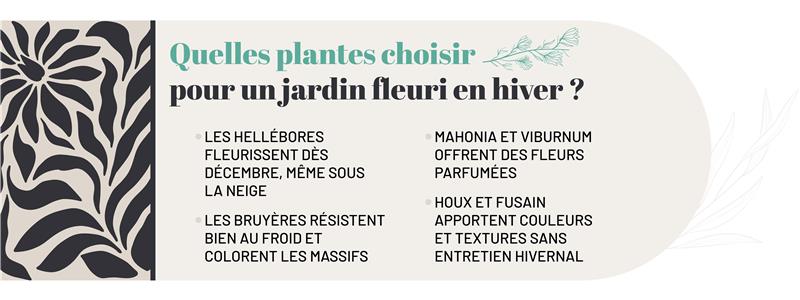Les plantes à privilégier pour un jardin fleuri en hiver