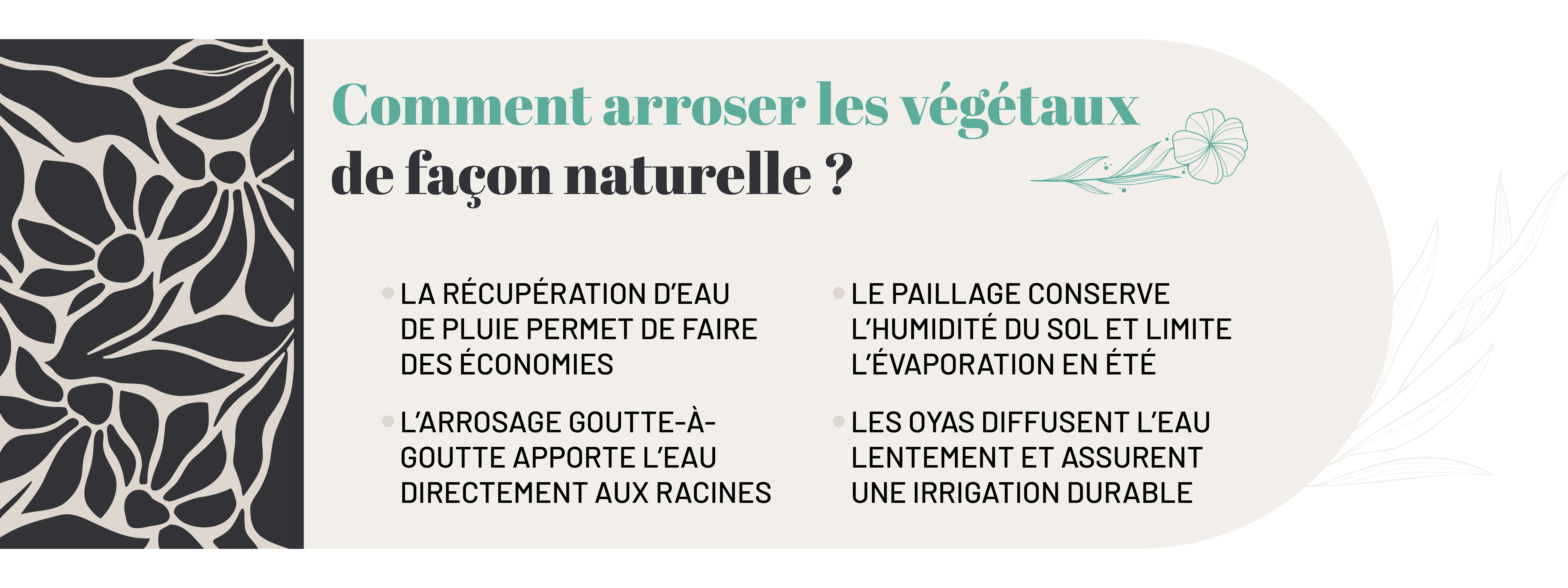  les techniques d’arrosage écologique pour économiser l’eau