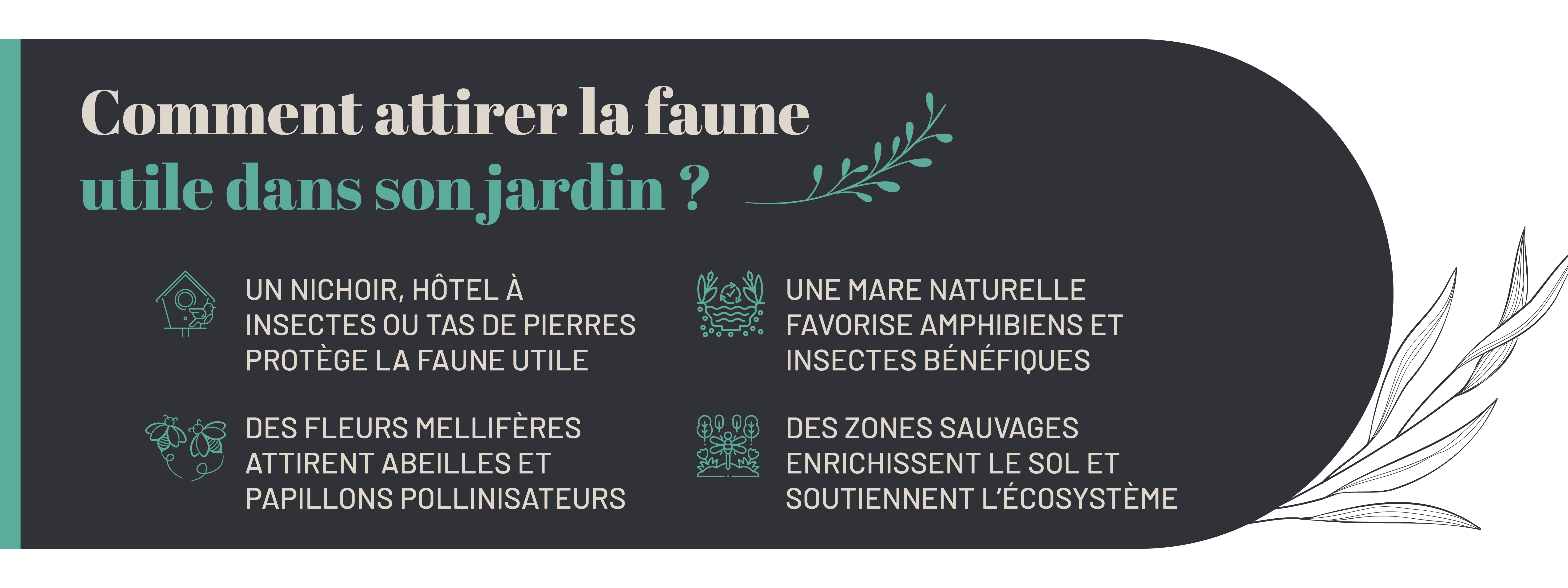 solutions pour favoriser la biodiversité dans un jardin résilient