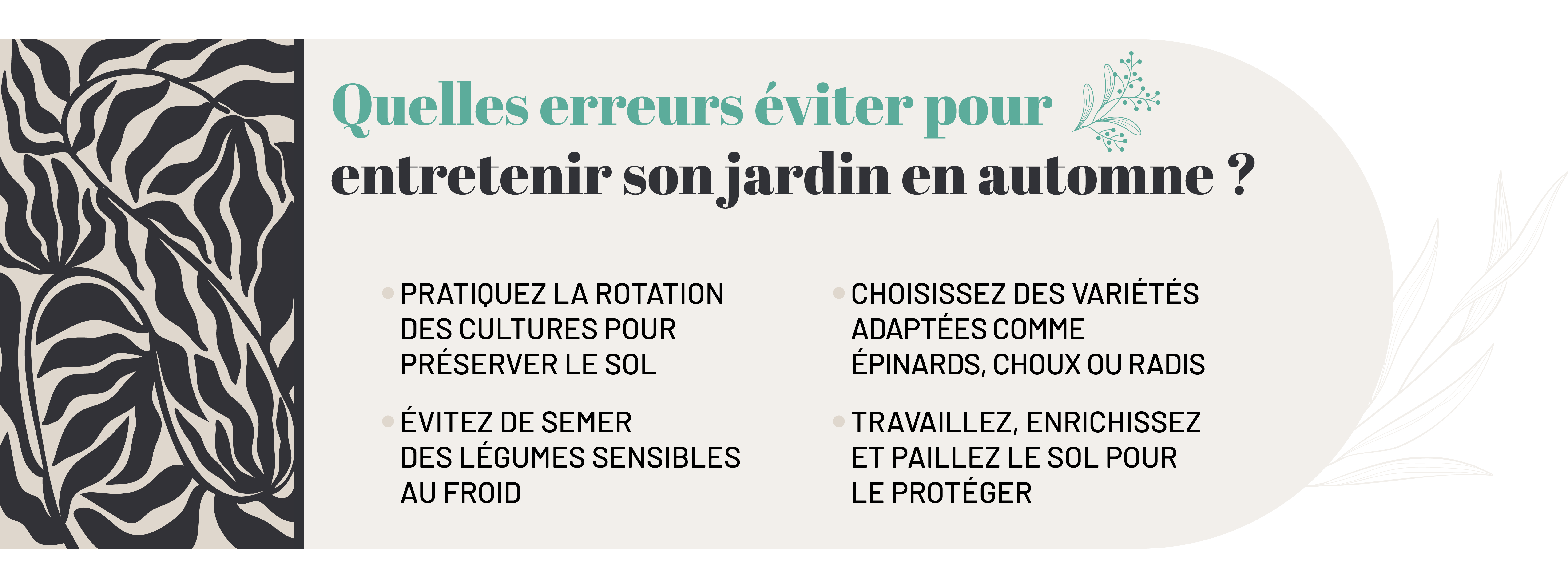 l’entretien du potager en automne