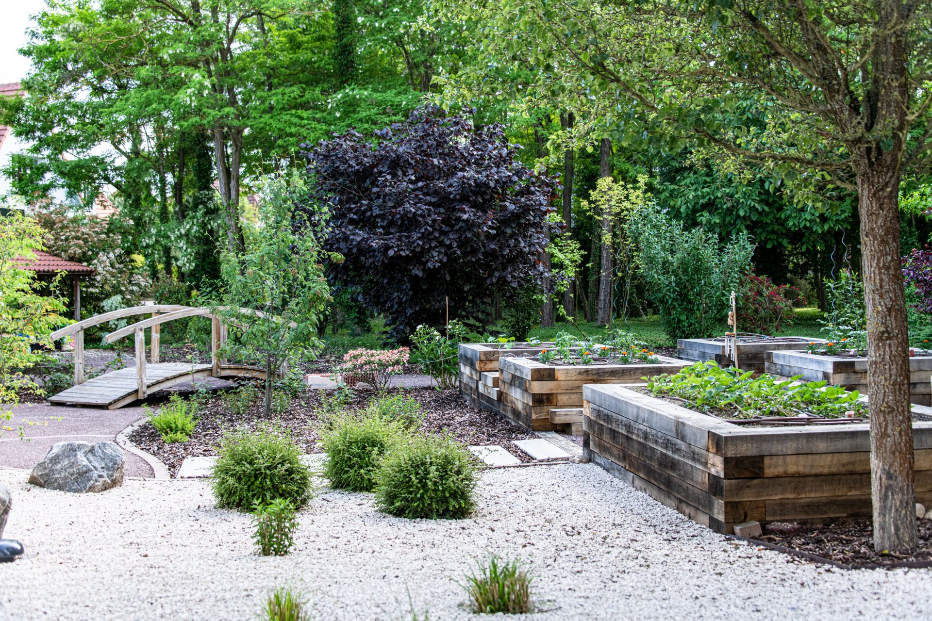 Le jardin thérapeutique : quand le paysagisme devient un outil pour le bien-être