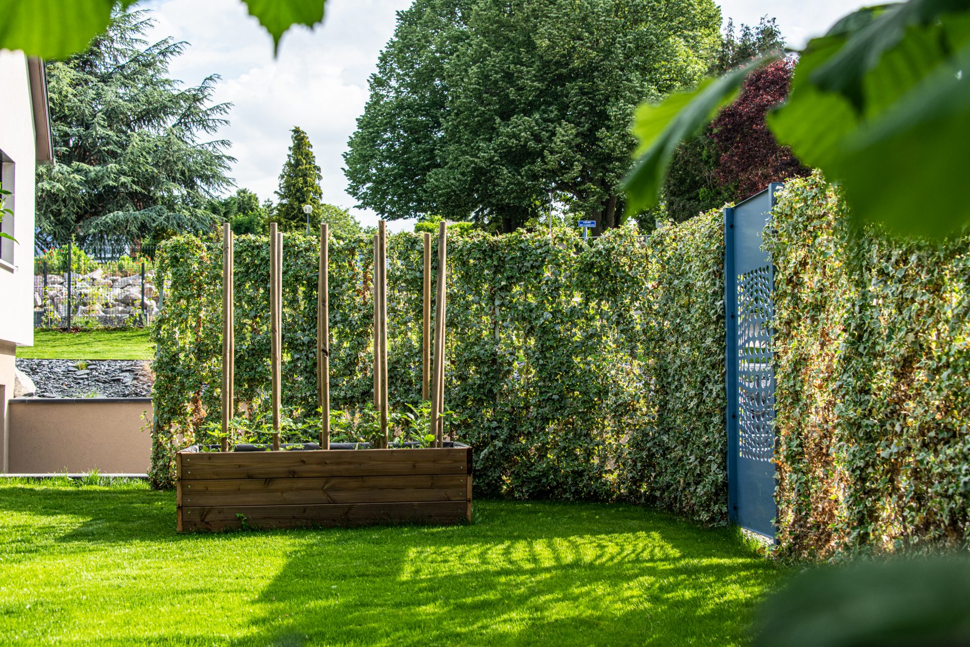 Aménager son jardin pas cher : les 5 erreurs qui finissent par coûter plus cher