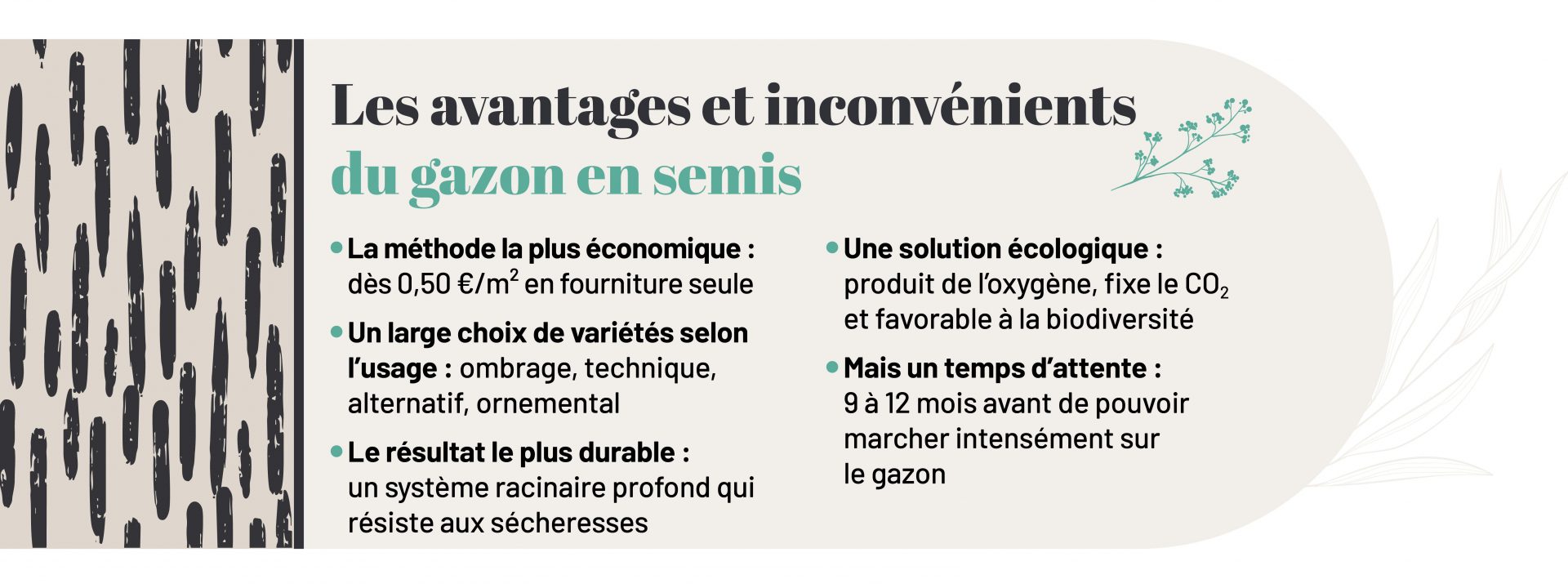 caractéristiques du gazon en semis