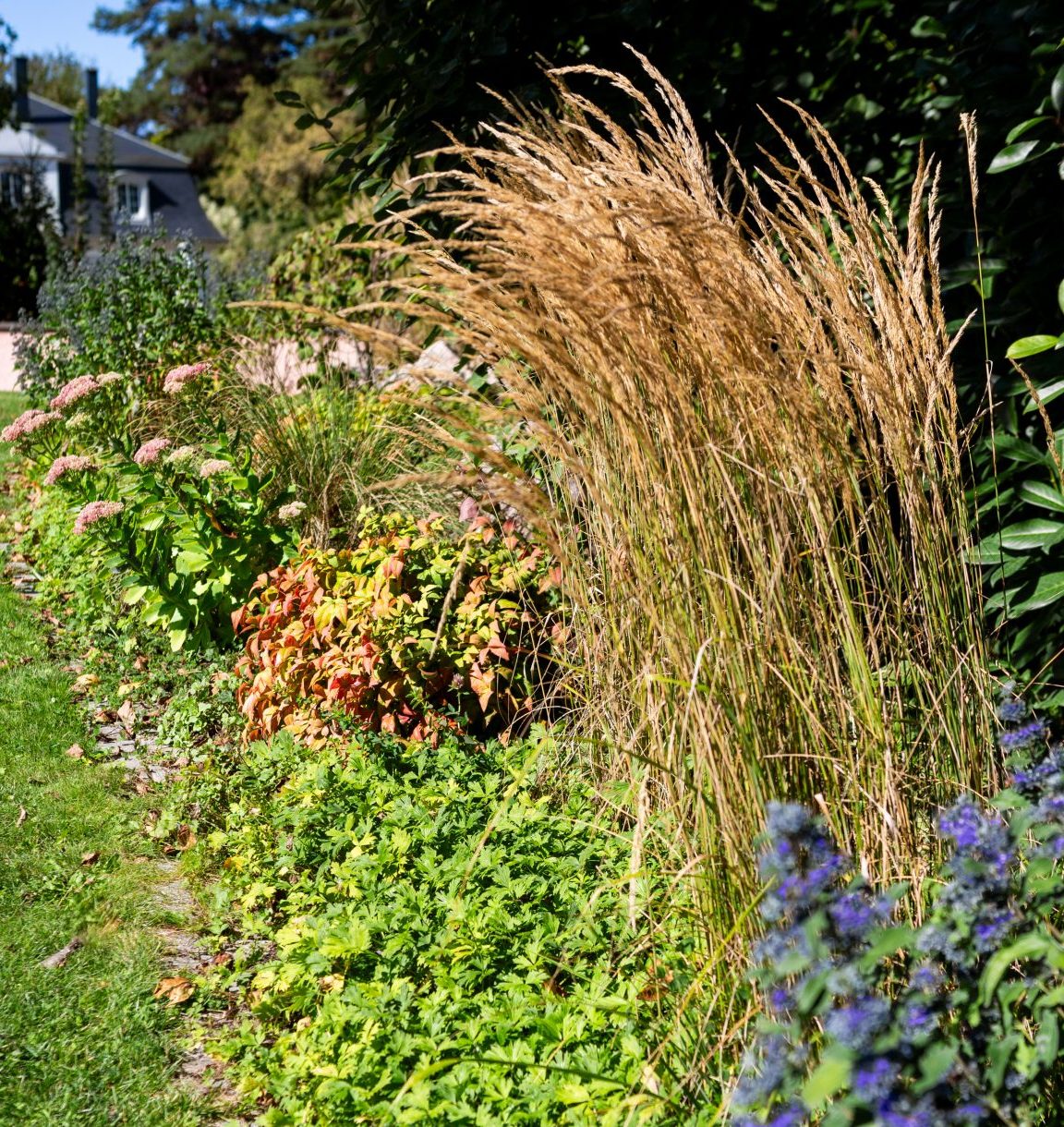 Jardin d&rsquo;ombre : comment créer un espace élégant et vivant ?