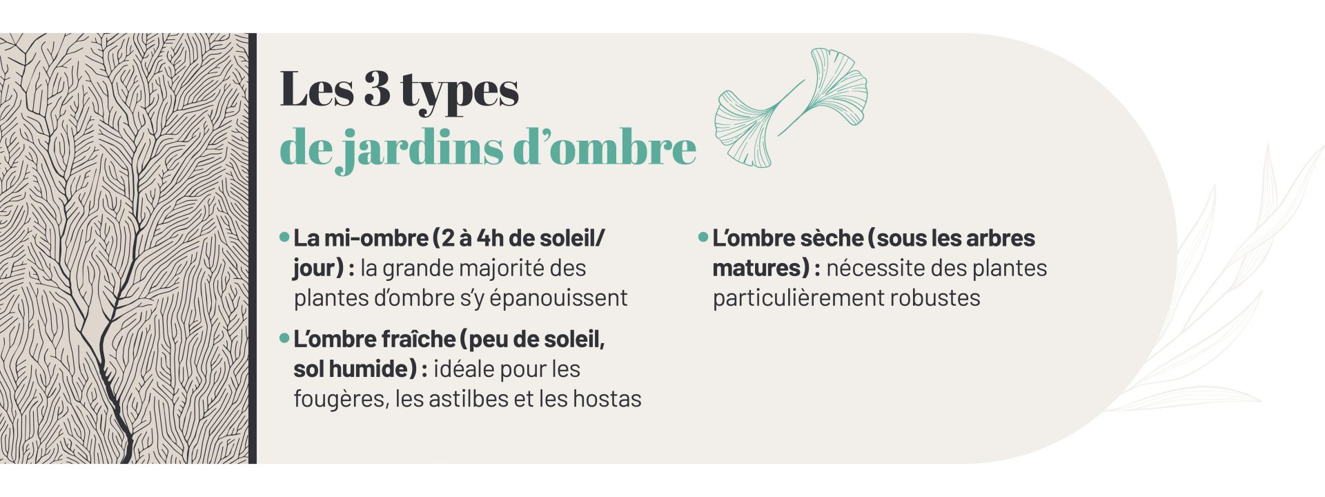 types jardins ombre mi-ombre ombre fraîche ombre sèche