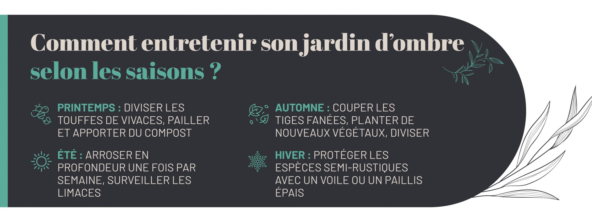entretien jardin ombragé selon saisons