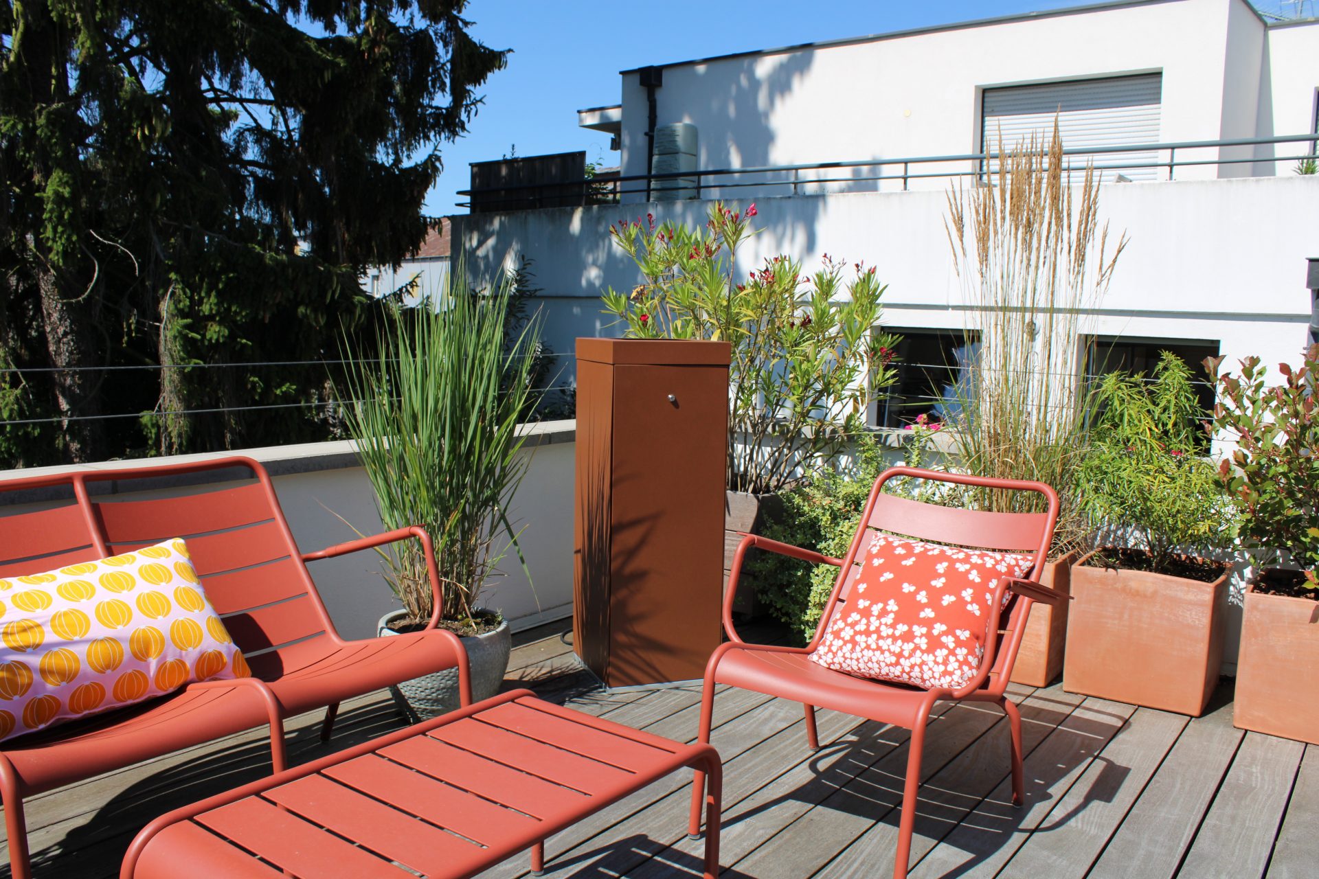 Lutter contre les moustiques : toutes les solutions naturelles et efficaces pour le jardin
