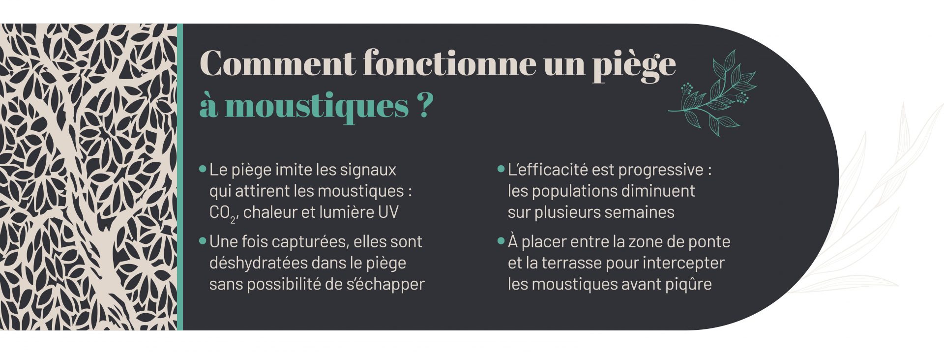 principe pièges à moustique pour lutter contre moustiques