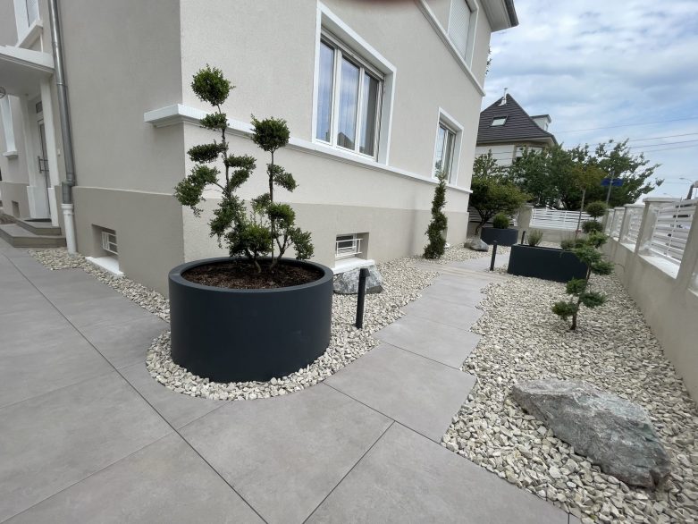 Bac planté avec arbre taillé en topiaire, aménagement paysager par LNP Paysage à Bischheim